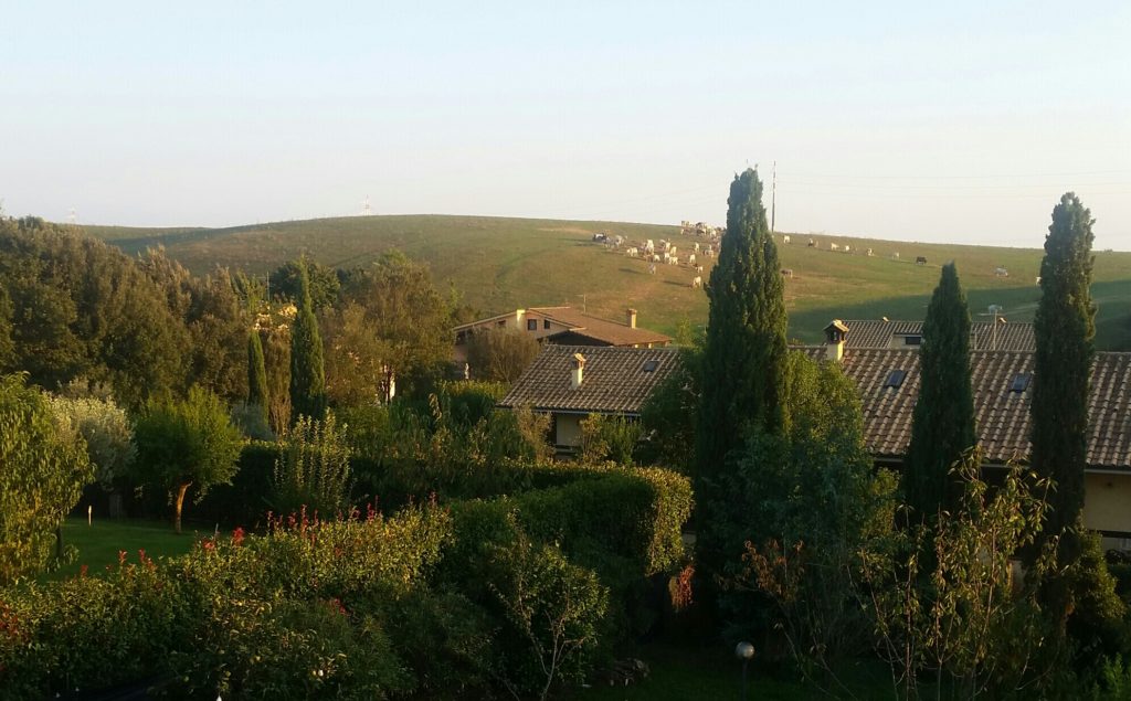 italian rolling hills from an upstairs window