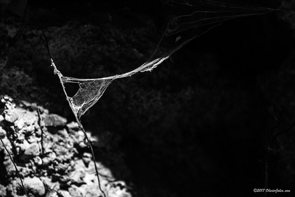 a spider web woven to represent subconscious mixup