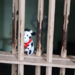 stuffed cow sitting in a jail cell