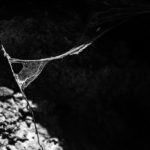 a spider web woven to represent subconscious mixup