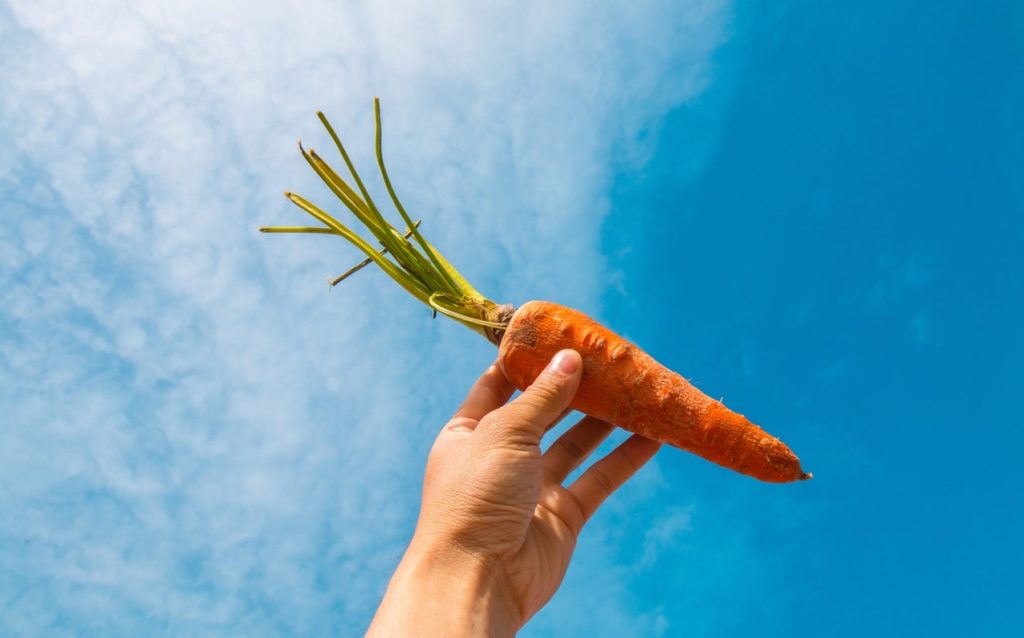 hand holding carrot representing chasing others' approval 